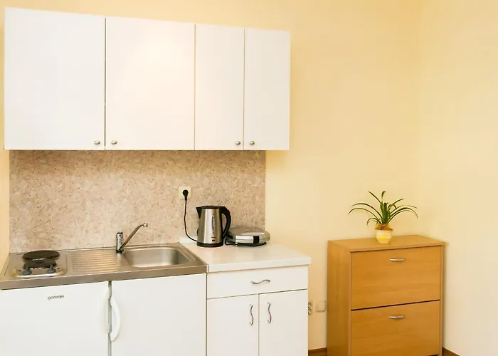 With Terrace For 3 People *